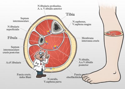 Illustration Motiondesign CBHeine